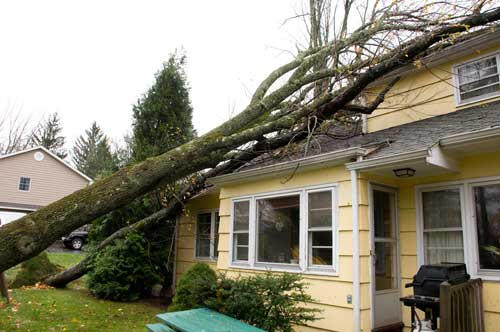 Sandhill Roofing